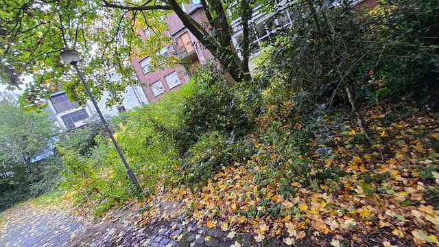 Park Minoritenkirche - Image 2
