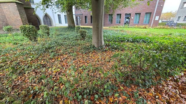 Park Minoritenkirche - Image 1