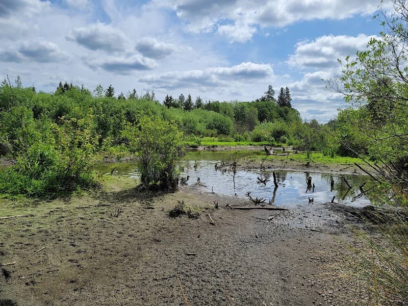 Englewood Park - Image 1