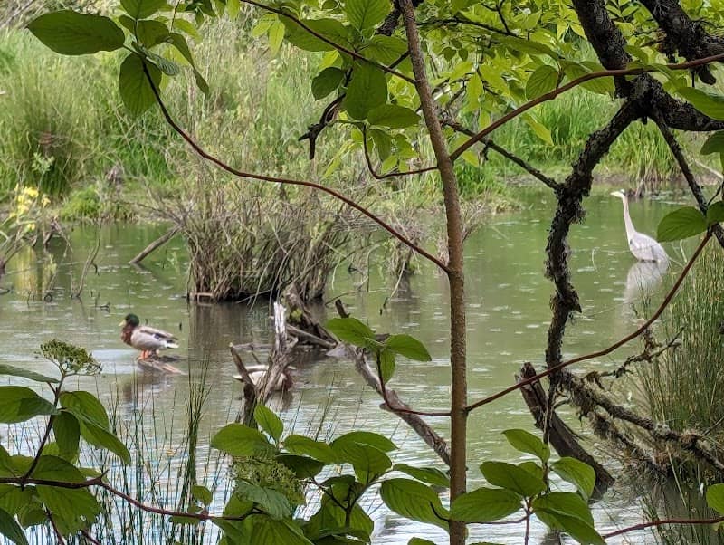 Englewood Park - Image 2