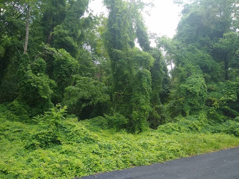 Spotsylvania County Virginia Central Trail - Image 1