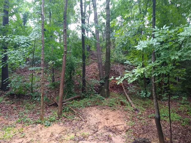 Spotsylvania County Virginia Central Trail - Image 2
