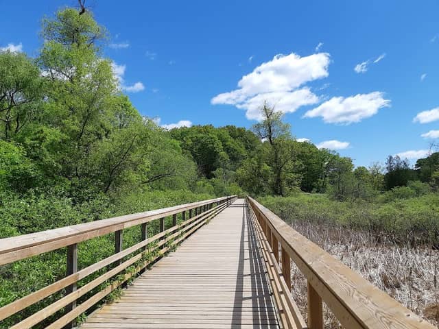 RBG Hendrie Valley Sanctuary - Image 1