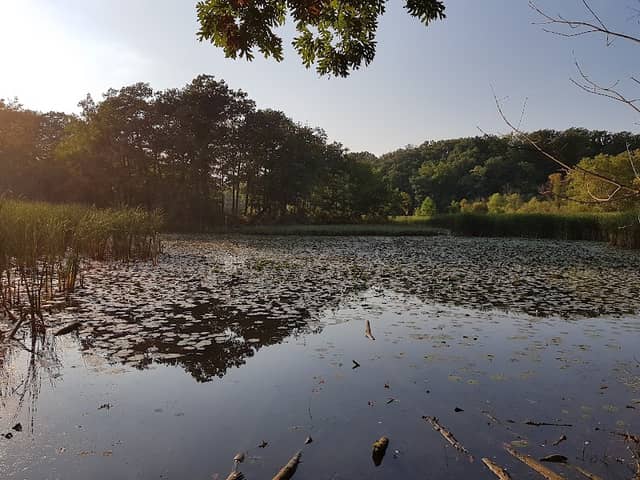 RBG Hendrie Valley Sanctuary - Image 2