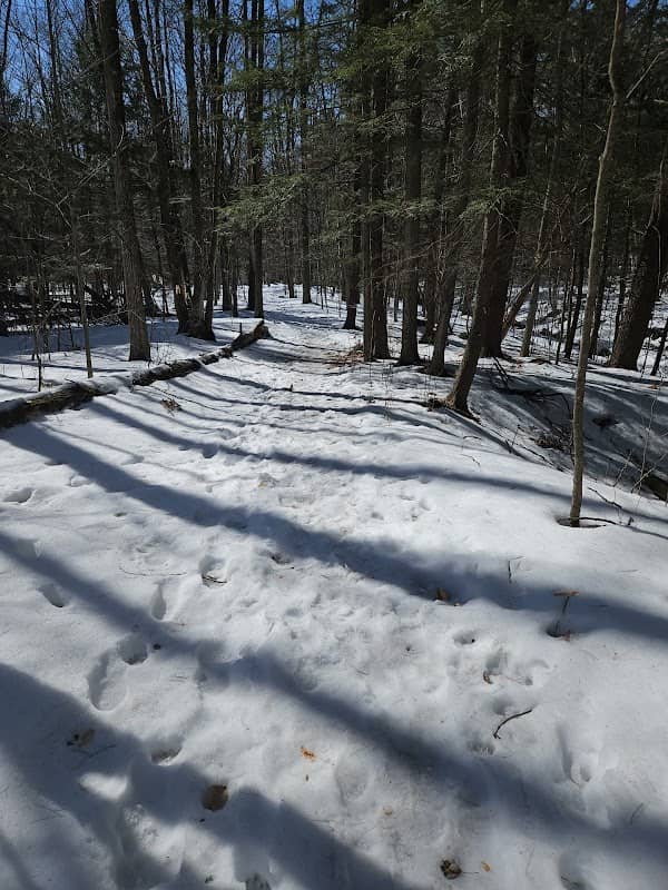 Silver Lake Woods – Parking - Image 1