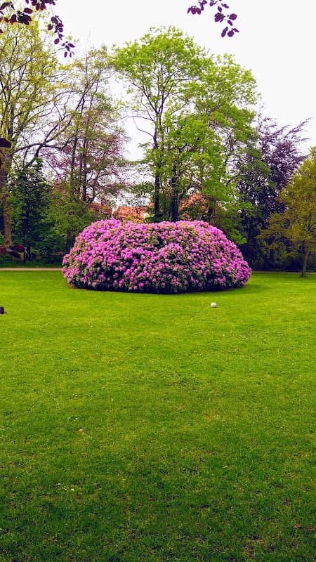 Tinghusparken - Image 1