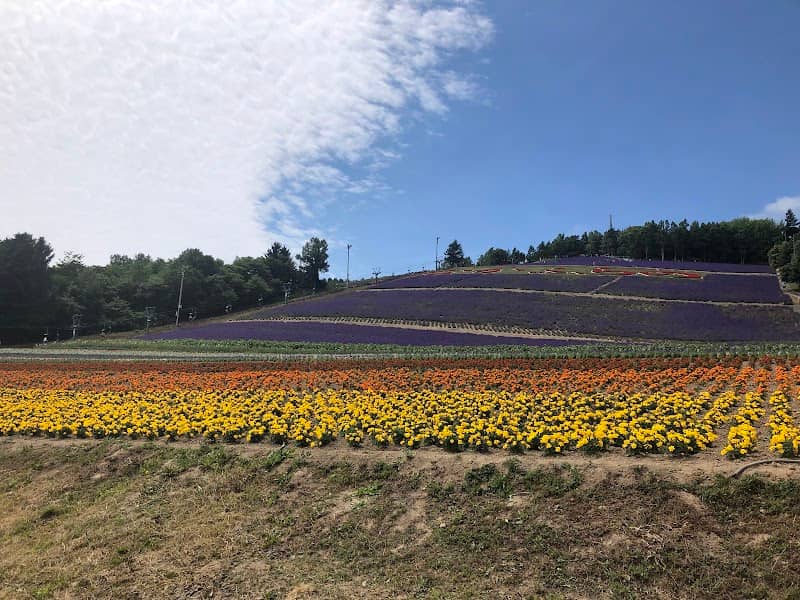 Nakafurano Flower Park - Image 1