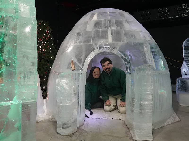 Fairbanks Ice Museum 🧊 - Image 1
