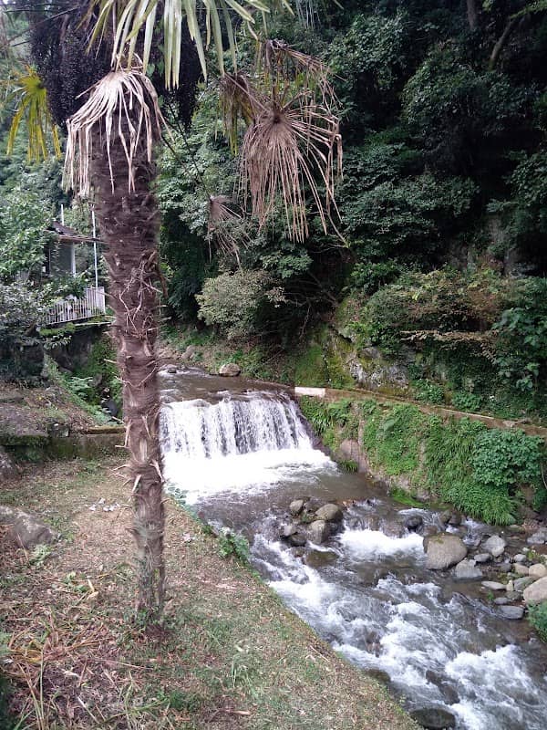 大山旧参道 - Image 1