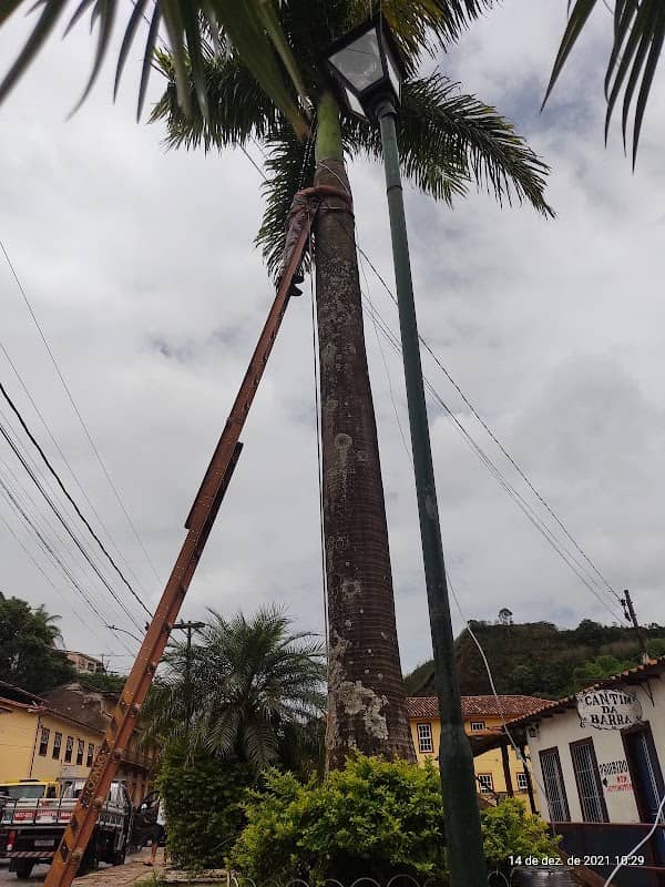 Chafariz da Barra - Image 3