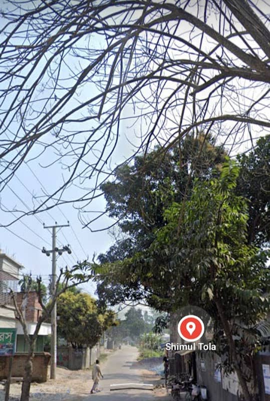 Shimul Tola - Image 2