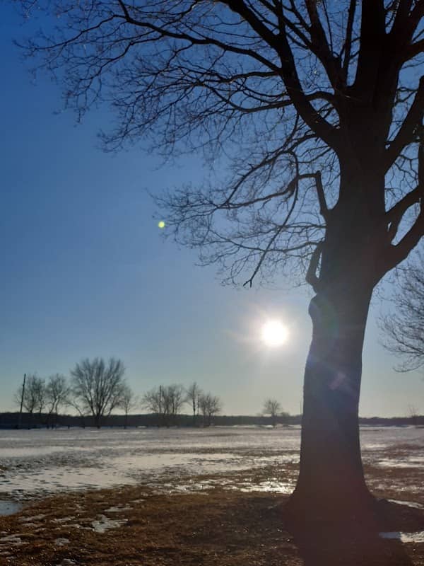 Legion Park - Image 2