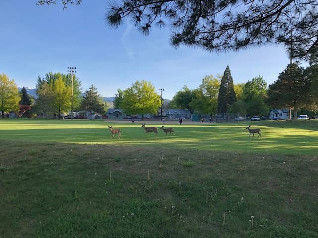 Riverside Park - Image 2