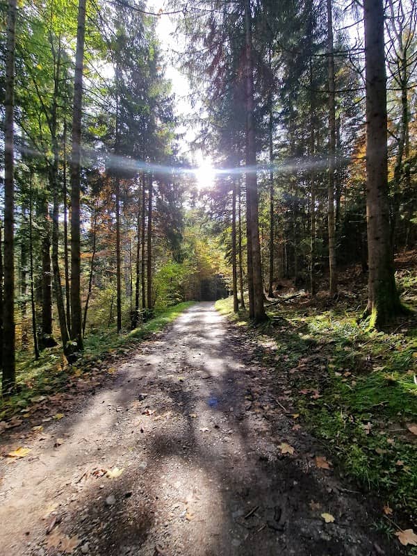 Parc nini - Image 1