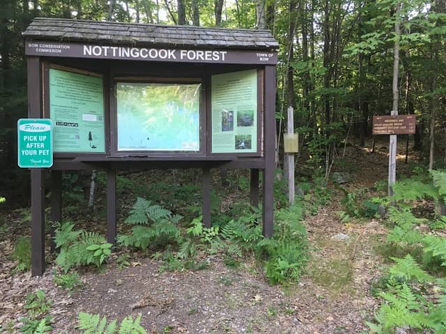 Nottingcook Forest - Image 1
