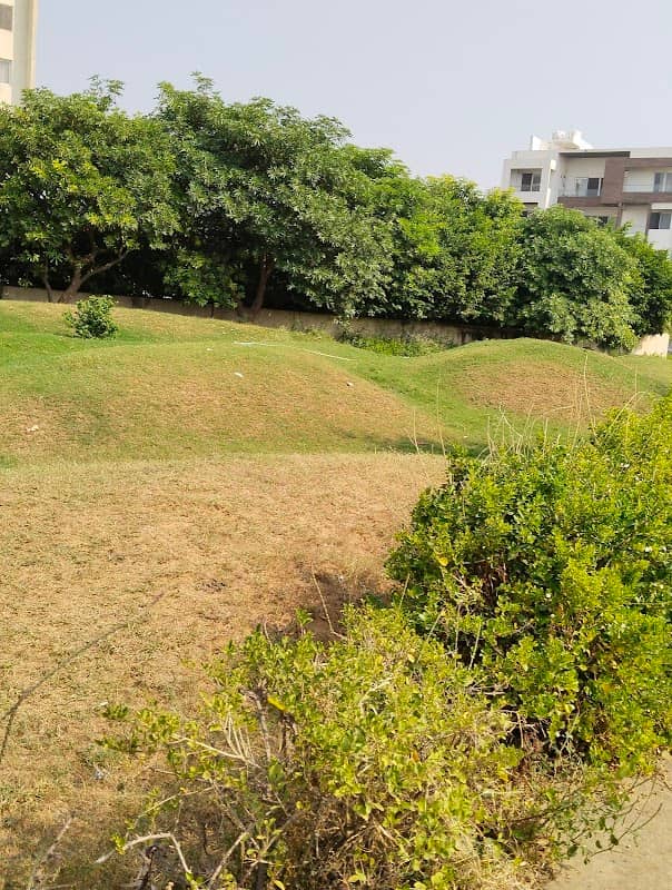 Wavy Hills - Image 1