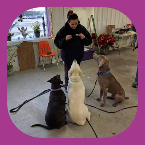 The C-K9 Club - Image 2