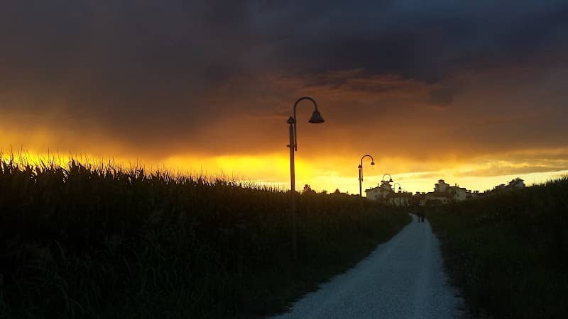 Panchinette - Image 1