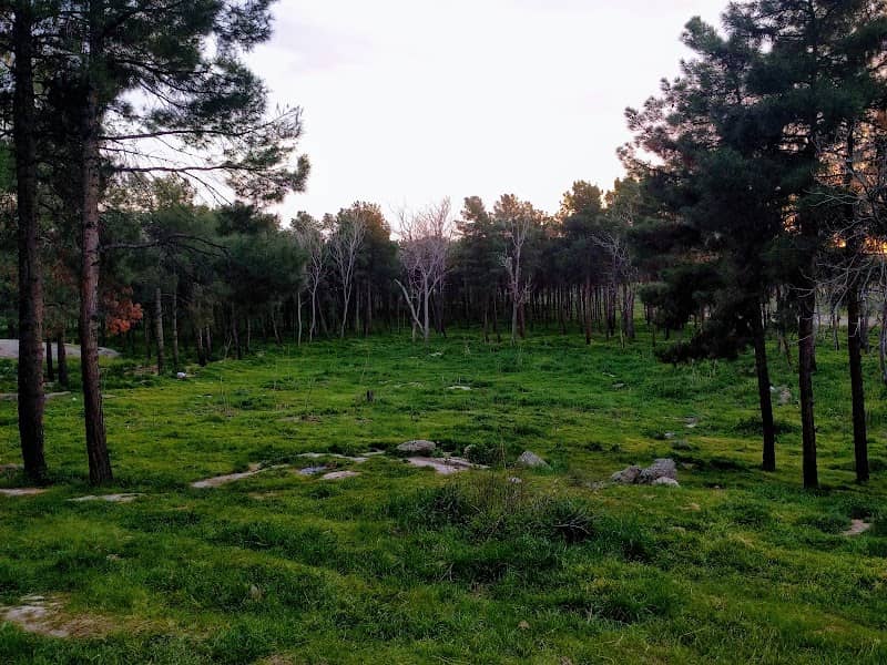 Zibashahr Forest Park - Image 1