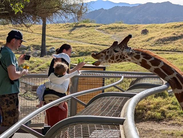 The Living Desert Zoo and Gardens - Image 2