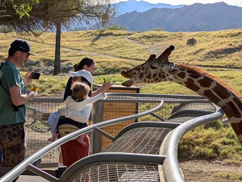 The Living Desert Zoo and Gardens - Image 2