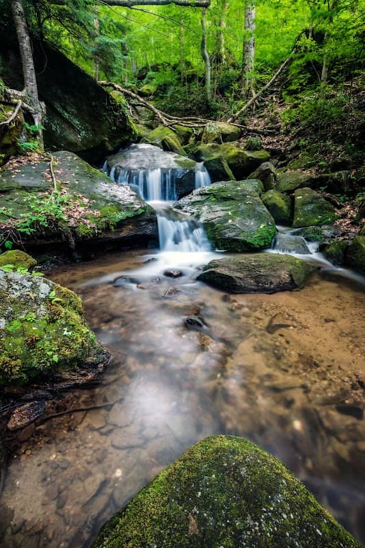 Bent Run Waterfall - Image 1