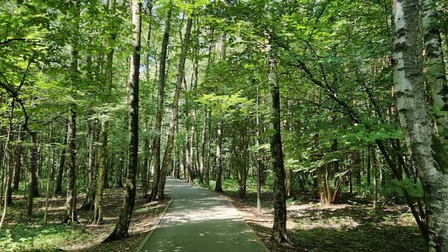 Parkovaya Zona Otdykha - Image 1