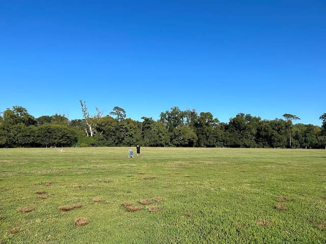 Old Mill Park - Image 2