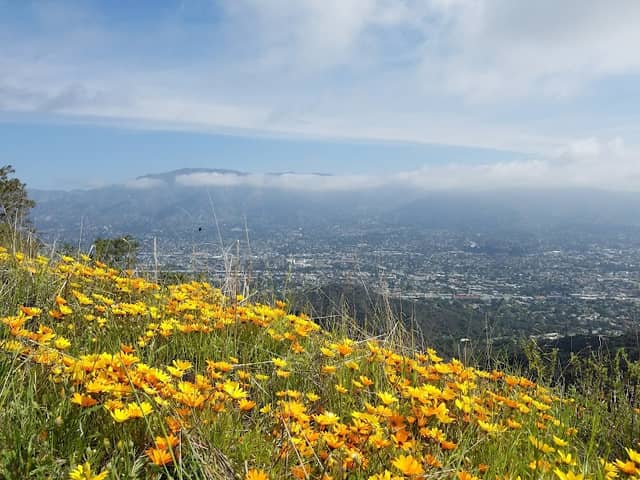 Verdugo Mountains Open Space Preserve - Image 1