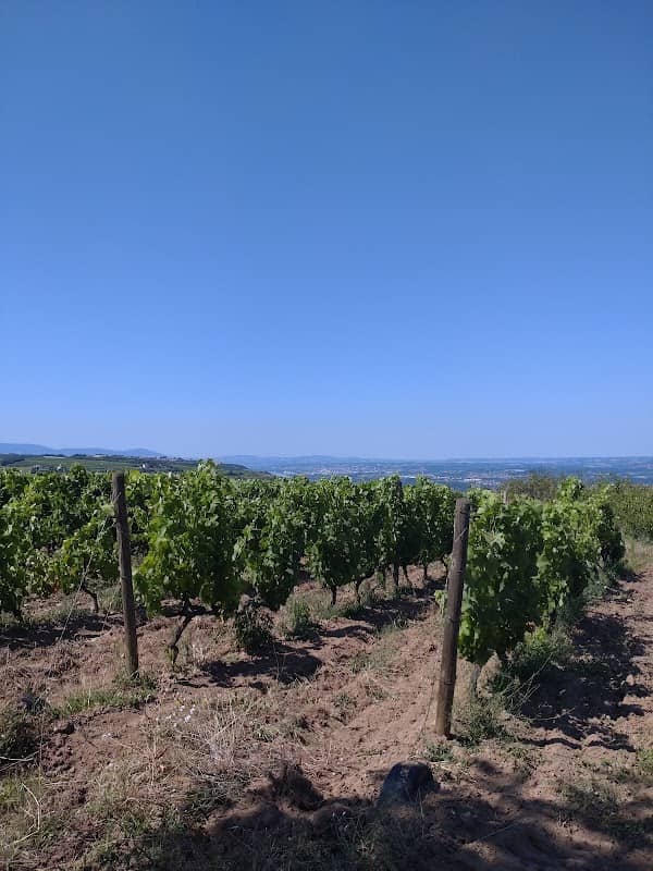 La Madone du Châtelet - Image 1