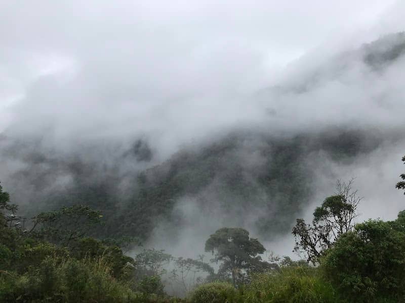Pacha Quindi Nature Refuge - Image 2