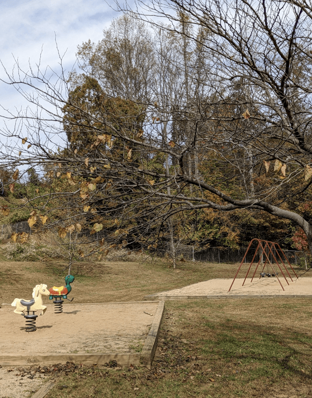 Eastfield Neighborhood Park - Image 2