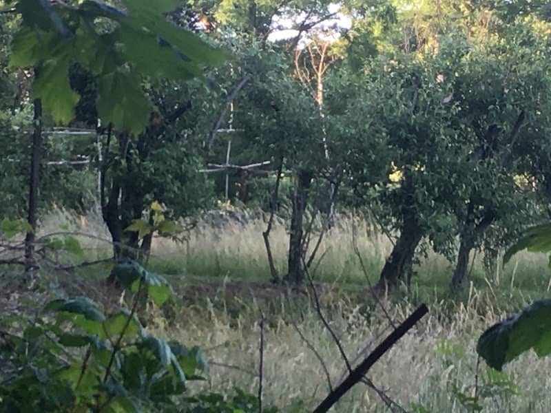 Birdwatching Hut - Image 2
