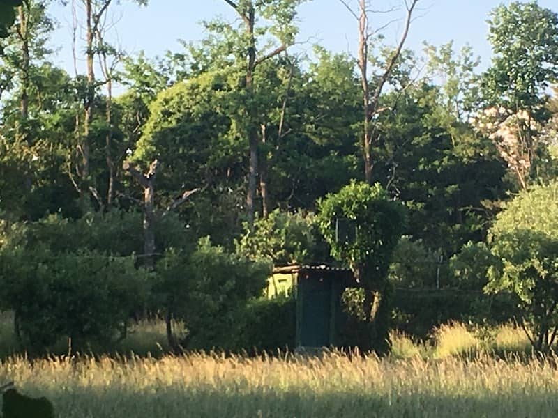 Birdwatching Hut - Image 1