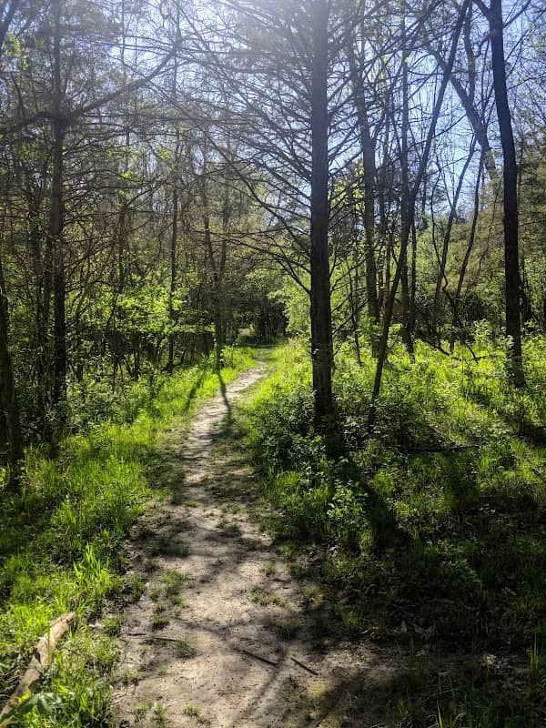 Strawberry Creek Nature Area - Image 2