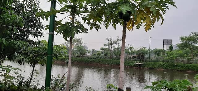জলাশয় - Image 1