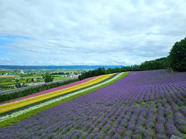 Irodori Field - Image 1