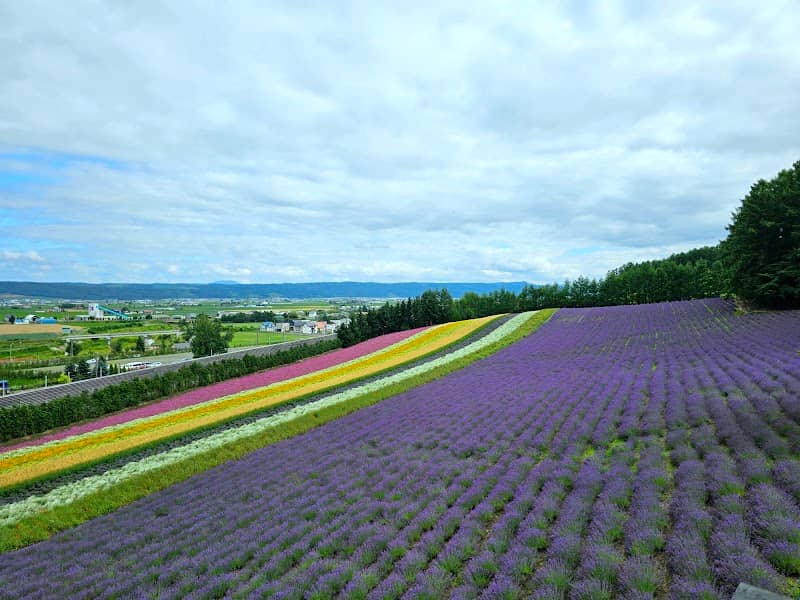 Irodori Field - Image 1
