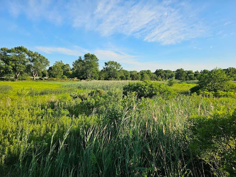 Central Park - Image 1