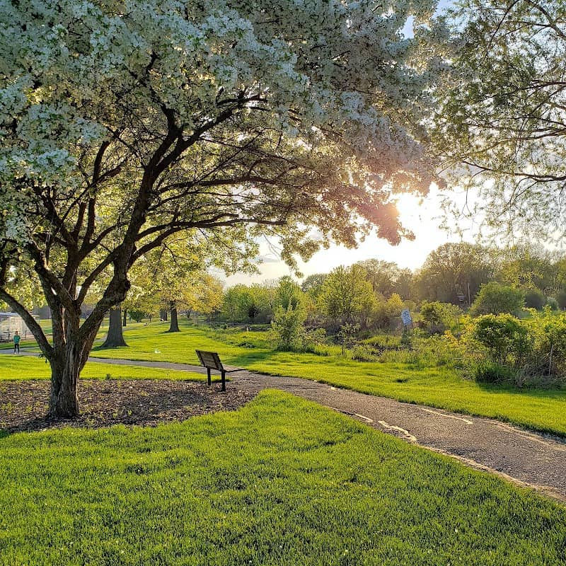 Central Park - Image 2