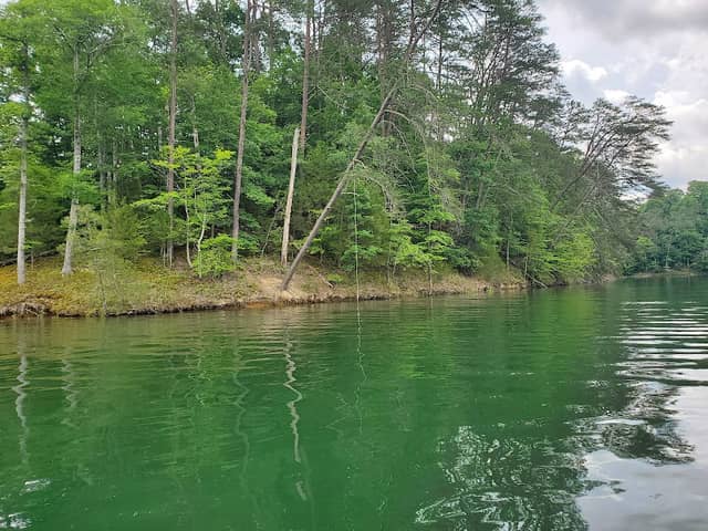 Rope swing - Image 1