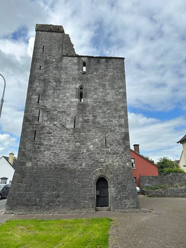 Maudlin Castle - Image 1
