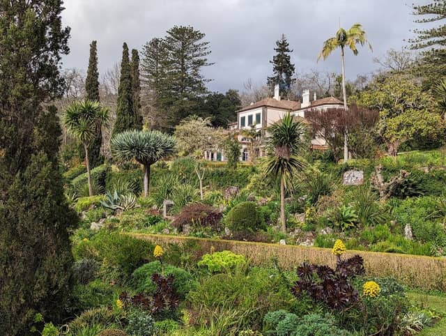 Palheiro Gardens - Image 2