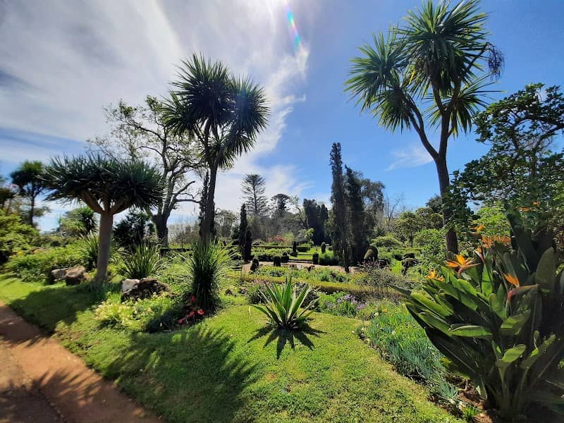 Palheiro Gardens - Image 3