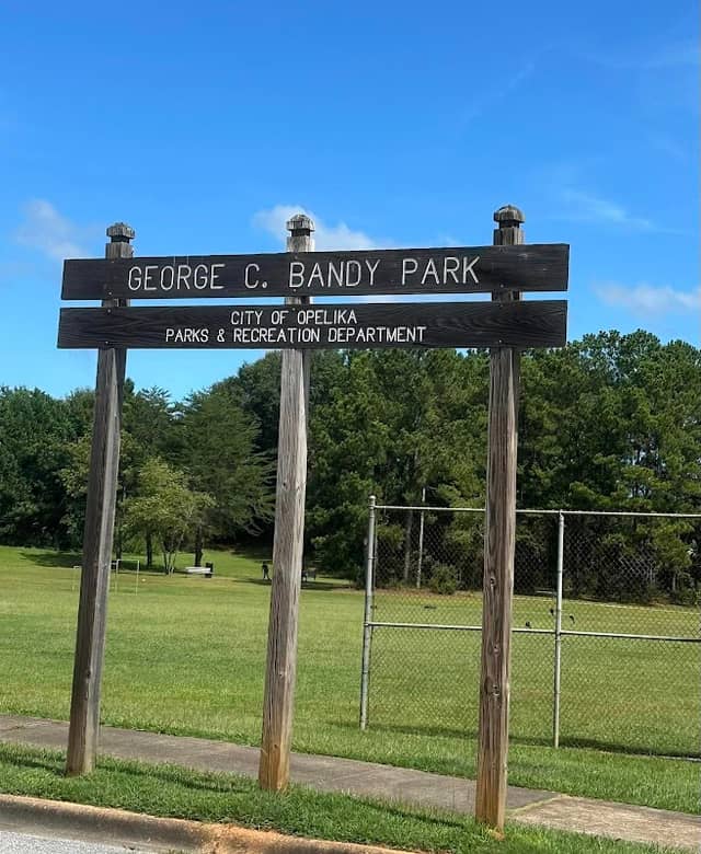 Bandy Park - Image 1
