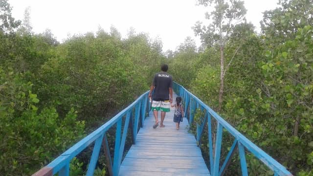 Ekowisata Mangrove - Image 1