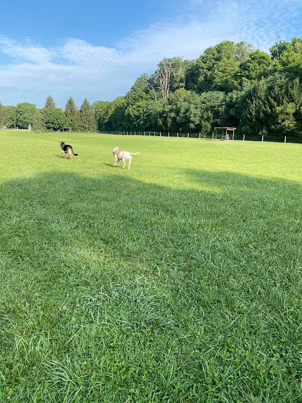 Kettle Creek Dog Park - Image 1