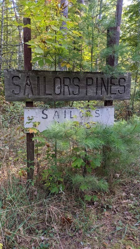 Muskego Park - Sailors Pines - Image 2