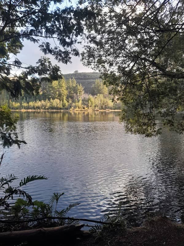 Laguna Fourcade - Image 1
