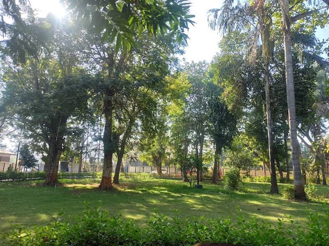 Nehru Park, Anand - Image 1